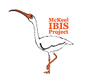 McKeel IBIS Bird Logo