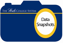 Data Snapshots