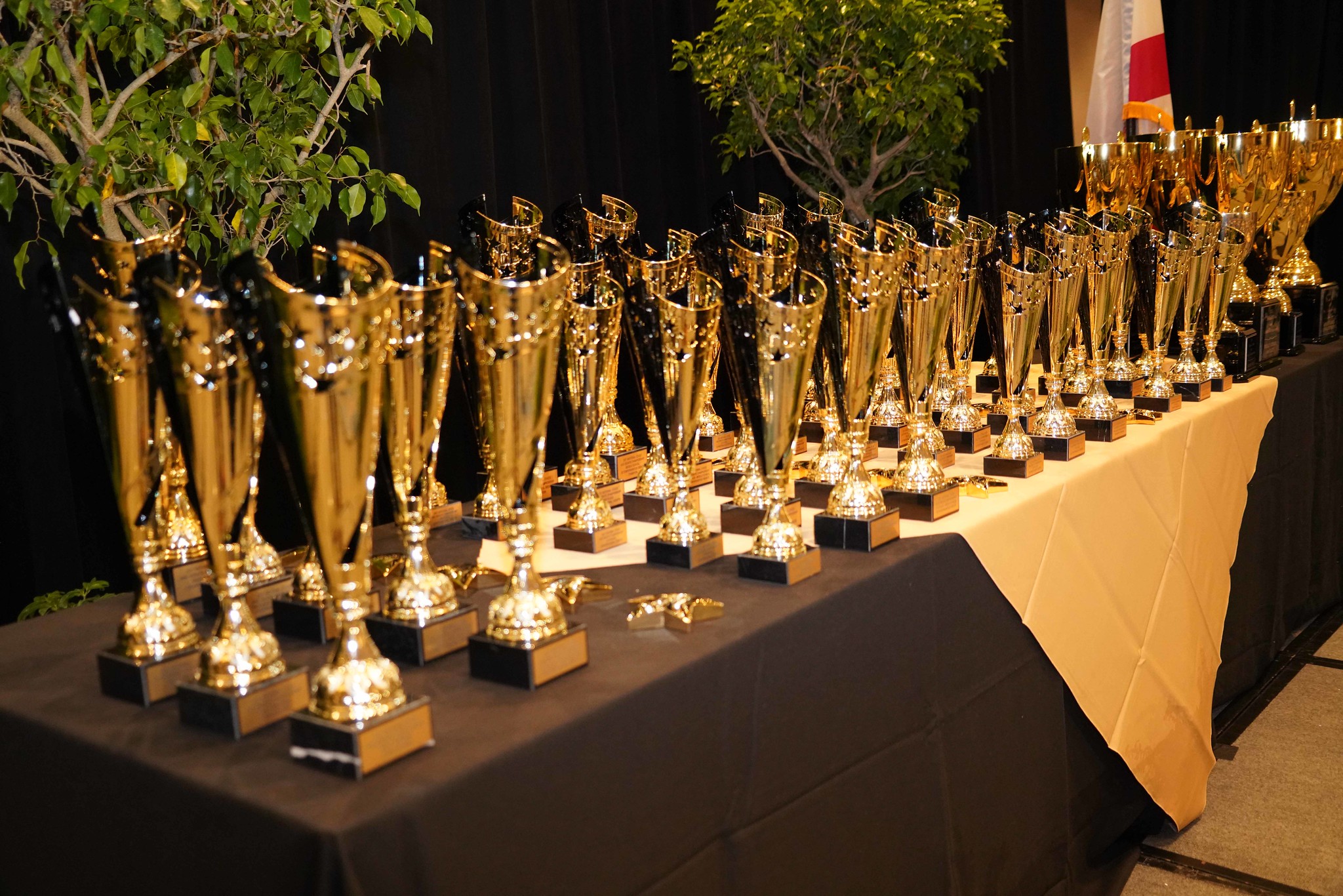 Trophies